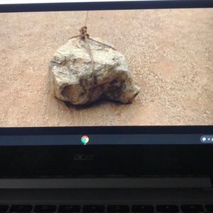 Meet your Posher, Ty